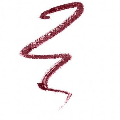 ERRE DUE Ruby SILKY PREMIUM LIP DEFINER Nr. 509 карандаш для губ 2