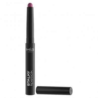 MIA MAKEUP STALKY LIPSTICK – 06 FUN-DANGO долгоиграющая матовая помада, 1,62 г