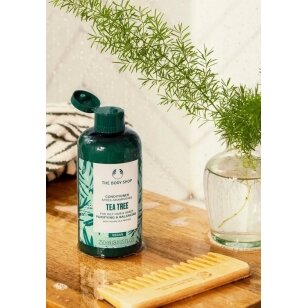 The Body Shop Tea Tree kondicionierius 250ml