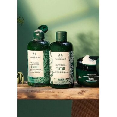 The Body Shop Tea Tree Кондиционер 250 мл 2