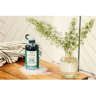 The Body Shop Tea Tree šampūnas 250ml 2