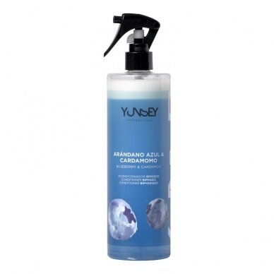 YUNSEY dvifazis purškiamas kondicionierius mėlynių aromato, 500ml